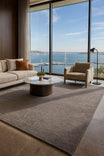 Royal Anthracite Plain Glossy Modern Viscose Rug Soft Textured Living Room Carpet