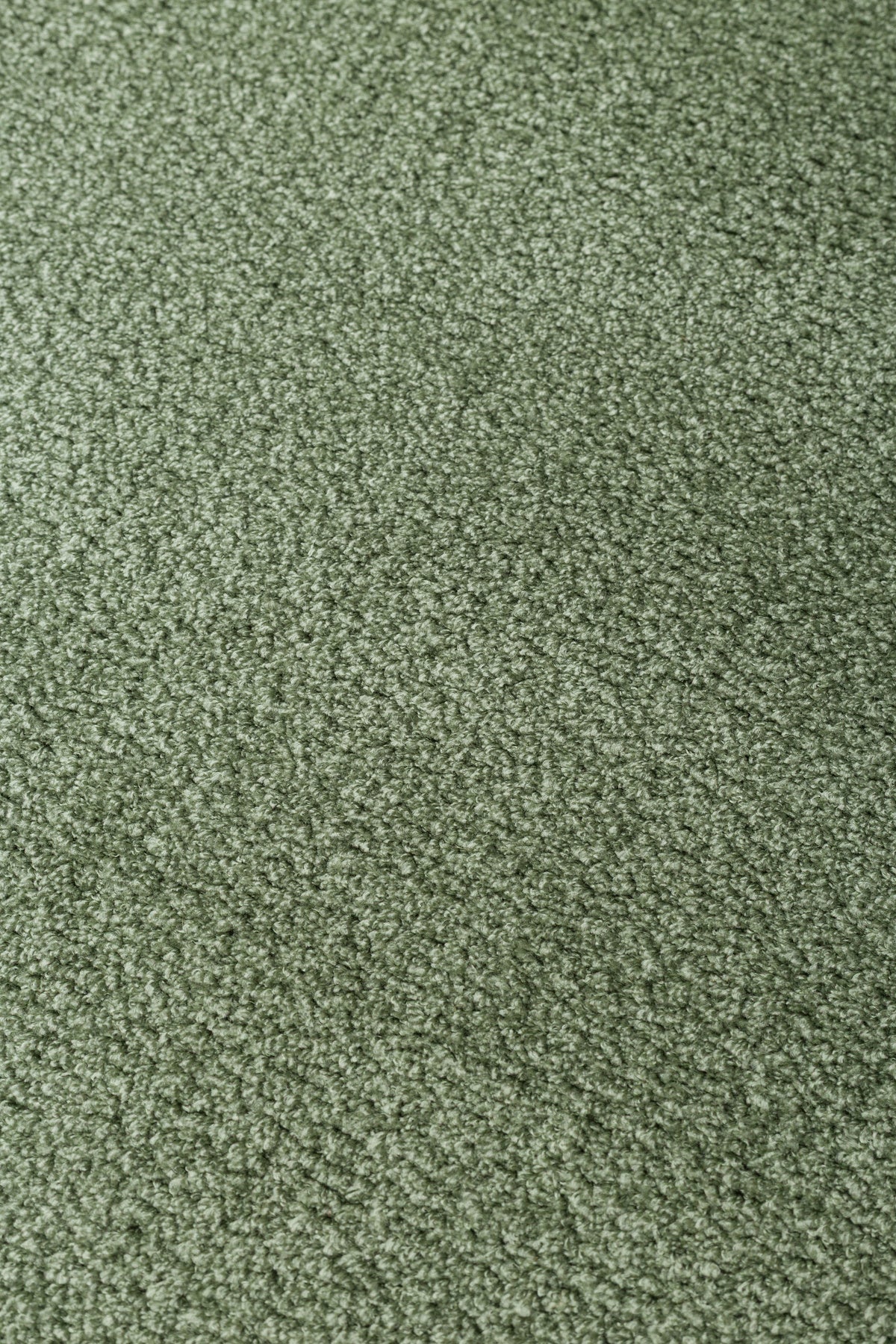 VERA MULTİ MORFEA Minimal Yeşil Amorf Yumuşak Modern Dekoratif Mikro Polyester Salon Halısı - Beyaz