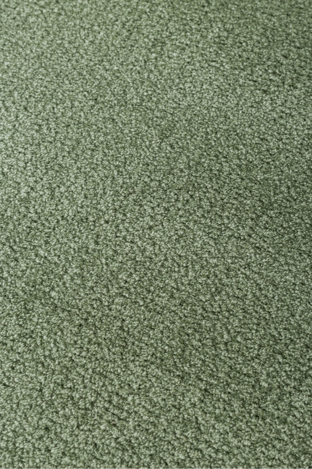 VERA MULTİ MORFEA Modern Amorf Yeşil Yumuşak Dekoratif Mikro Polyester Minimal Salon Halısı - Turkuaz