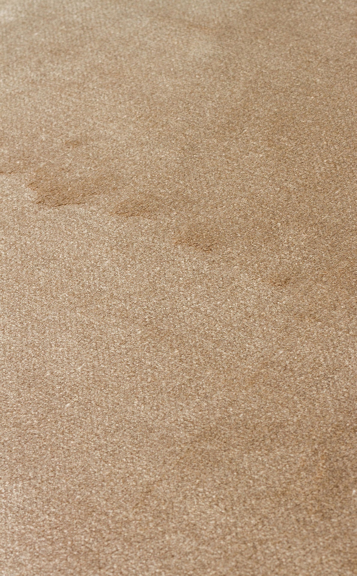 High Quality Closely Woven Soft Textured Gold Special Living Room Carpet